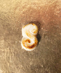 Single piece of Lemke flame-browned Edelmarzipan Teekonfekt on gold tray background