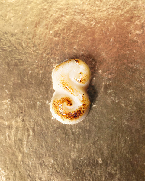 Single piece of Lemke flame-browned Edelmarzipan Teekonfekt on gold tray background
